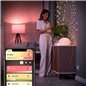 CONECTOR PHILIPS HUE 8718699689285