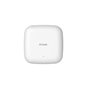 DLINK AP OUTD AC1200 2P FE POE WIFI4EU