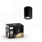 SPOT LED PHILIPS HUE 8718696159392