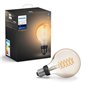 BEC LED PHILIPS HUE G93 8718699688882