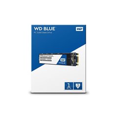WD SSD 1TB BLUE M.2 SATA3 WDS100T2B0B