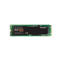 SM SSD 1TB 860EVO M.2 2280 MZ-N6E1T0BW