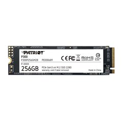 PT SSD 256GB M2 2280 P300P256GM28