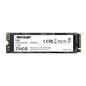 PT SSD 256GB M2 2280 P300P256GM28