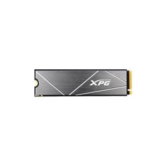 ADATA SSD 1TB M.2 AGAMMIXS50L-1T-C