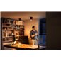 SPOT LED PHILIPS HUE PILLAR GU10