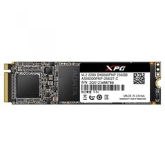 AA SSD 256GB M.2 PCIe XPG SX6000PNP