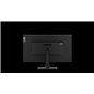 LN ThinkVision T32h-20 31.5" WQHD 3Y