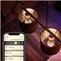 BEC LED PHILIPS P45 E14 8719514266889
