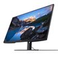 DL MONITOR 42'' U4320Q 3840x2160 USB-C