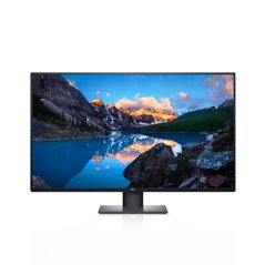 DL MONITOR 42'' U4320Q 3840x2160 USB-C