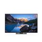 DL MONITOR 42'' U4320Q 3840x2160 USB-C