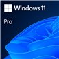 Windows 11 Professional 64Bit English Intl 1pk DSP OEI DVD Windows 11 Professional 64Bit English Intl 1pk DSP OEI DVD