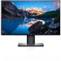 DL MONITOR 25" U2520D 2560X1440 LED
