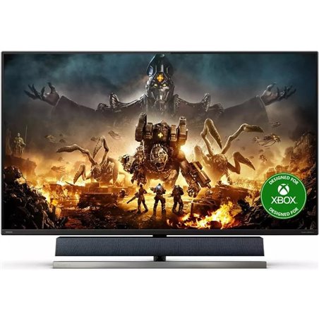 MONITOR 55" PHILIPS 559M1RYV