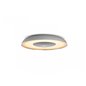 Still Hue ceiling lamp aluminium