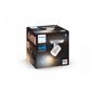 Runner Hue ext. spot single spot white 1