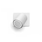 Runner Hue ext. spot single spot white 1