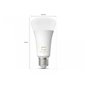 Philips HueWA 13W A67 E27 EUR