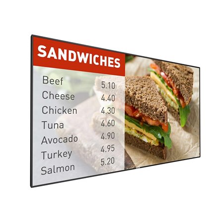 Ecran profesional Philips P-Line 55"
