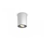Pillar Hue ext. spot single spot white 1
