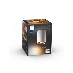 Pillar Hue ext. spot single spot white 1
