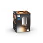 Pillar Hue ext. spot single spot white 1