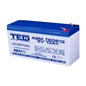 BATERIE AMG TED613F1 6V 13Ah BATERIE AMG TED613F1 6V 13Ah