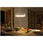 Fair Hue pendant white