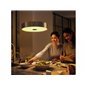 Fair Hue pendant black