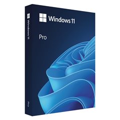 Win 11 Pro FPP P2 32-bit/64-bit RO USB