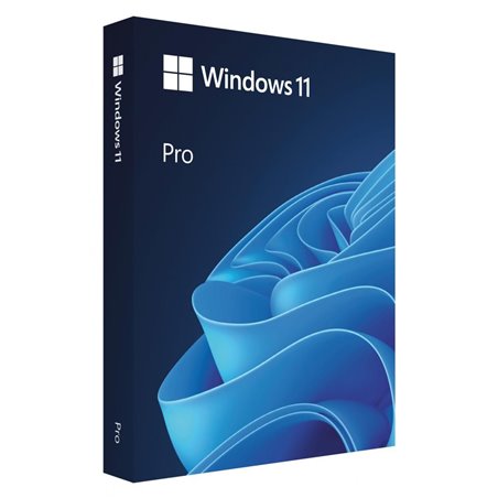 Win 11 Pro FPP P2 32-bit/64-bit RO USB