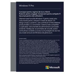Win 11 Pro FPP P2 32-bit/64-bit RO USB
