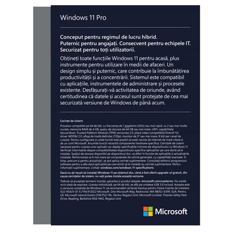 Win 11 Pro FPP P2 32-bit/64-bit RO USB