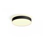 Hue Enrave L ceiling lamp black