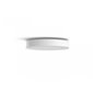 Hue Enrave L ceiling lamp white