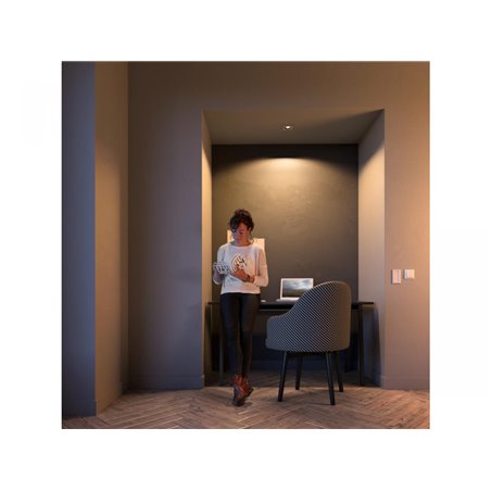 Milliskin Hue recessed S. aluminium 1x5W