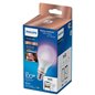 Bec LED inteligent Philips   100W A67 E2