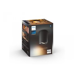 Pillar Hue ext. spot single spot black 1