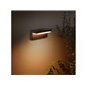 Nyro Hue WACA wall lantern black 1x13.5