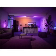Centris Hue 4-spot white special form