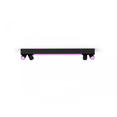Centris Hue 4-spot black special form