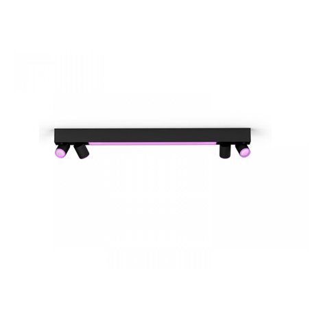 Centris Hue 4-spot black special form