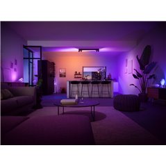 Centris Hue 4-spot black special form