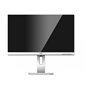 MONITOR 24" AOC X24P1/GR