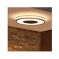 Being Hue ceiling lamp black