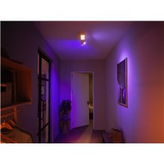 Centris Hue 2-spot white special form