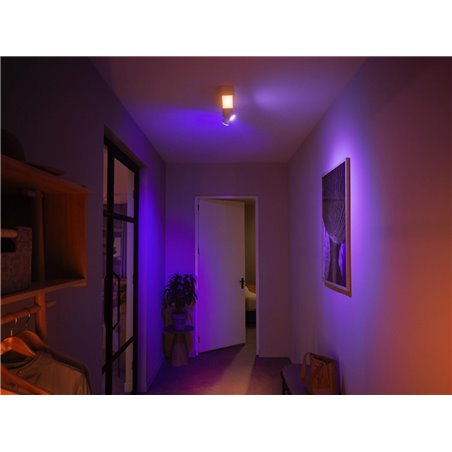 Centris Hue 2-spot white special form