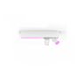 Centris Hue 2-spot white special form