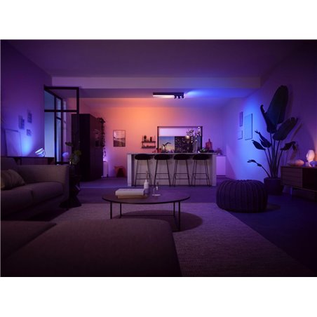 Centris Hue 3-spot black special form